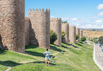 Full Day Tour to Segovia and Ávila from Madrid with Tickets