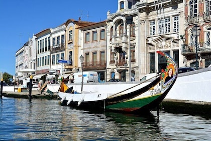 Aveiro Half Day Tour from Porto