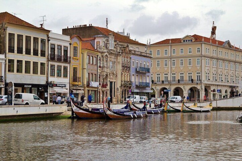 Aveiro Half Day Tour from Porto