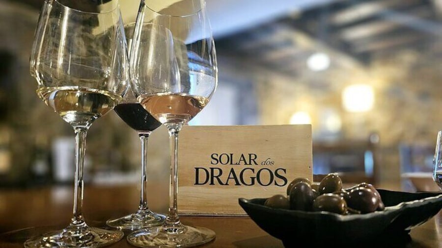 Douro and Port Wine Tasting in Douro Valley