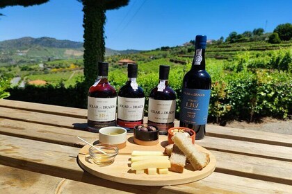 Douro and Port Wine Tasting in Douro Valley
