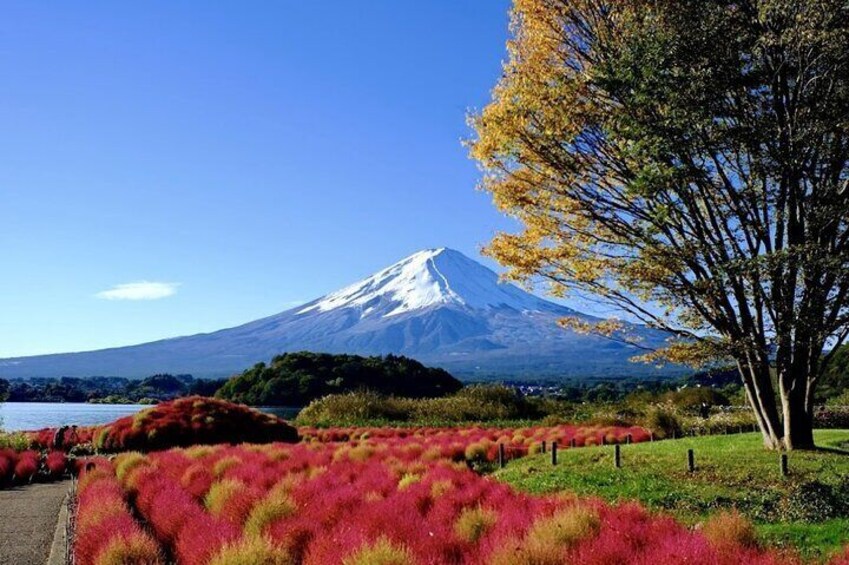 Mount Fuji Full Day Customized Private Tour with English Guide