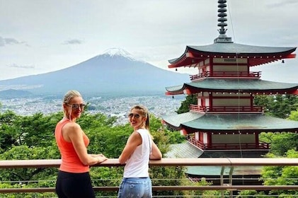 From Tokyo: Mount Fuji Full Day Private Tour with English Guide