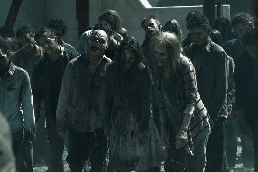 Urban zombie game in La Rochelle