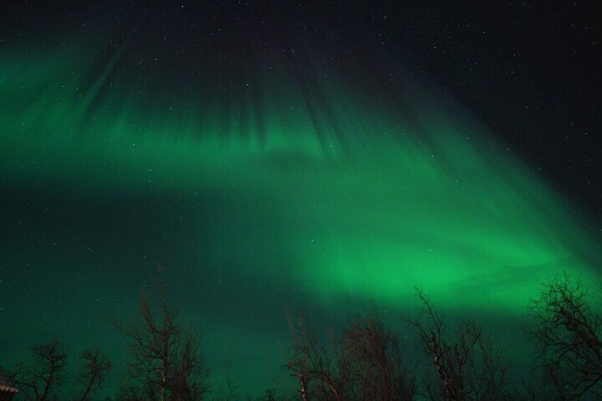 Northern Lights Tour with Local Guide