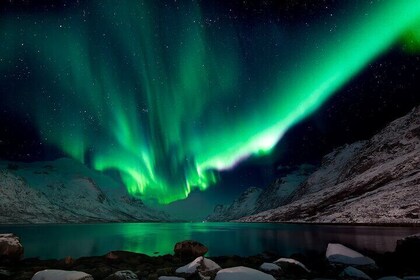 Northern Lights Tour with Local Guide and Photos