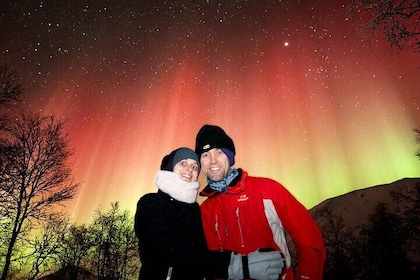 Northern Lights Tour with Local Guide and Photos