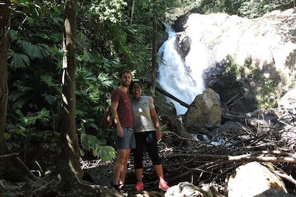 Guided Botanical Tour on the Osa Peninsula