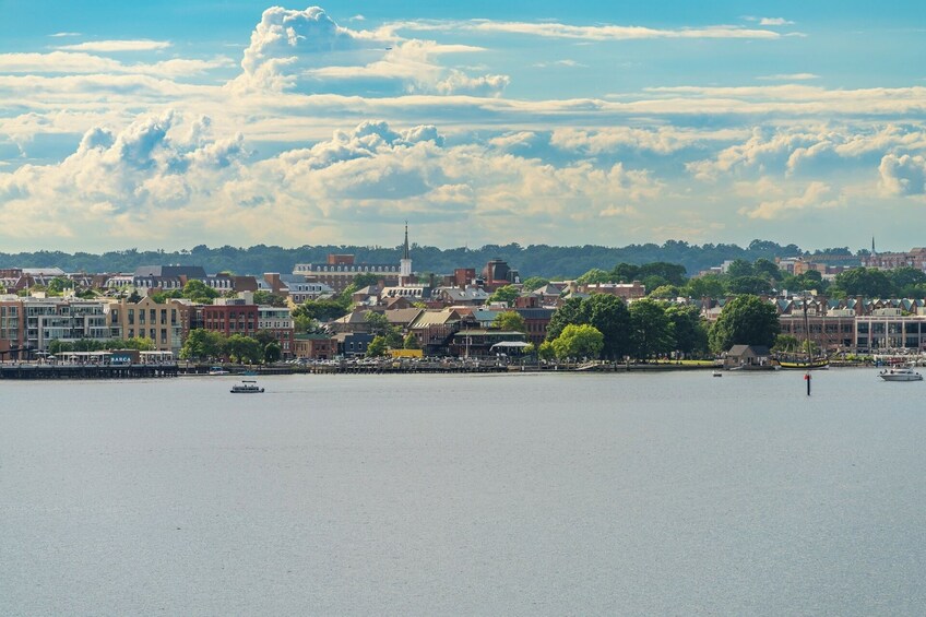 Old Town Alexandria in a Day with Round Trip Ferry Cruise