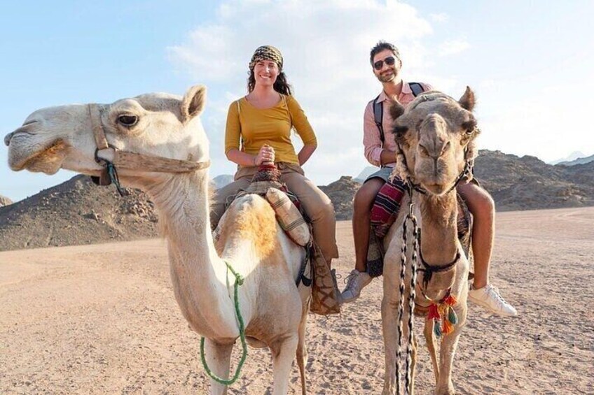 ATV Quad in Agafay desert, Dinner, Show & Camel Ride - Marrakesh
