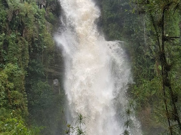 Heldagstur til La Chorrera og Chiflón Natural Waterfall