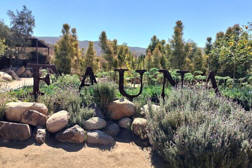 El Cielo Valle de Guadalupe to Almatierra Restaurant Tour Event