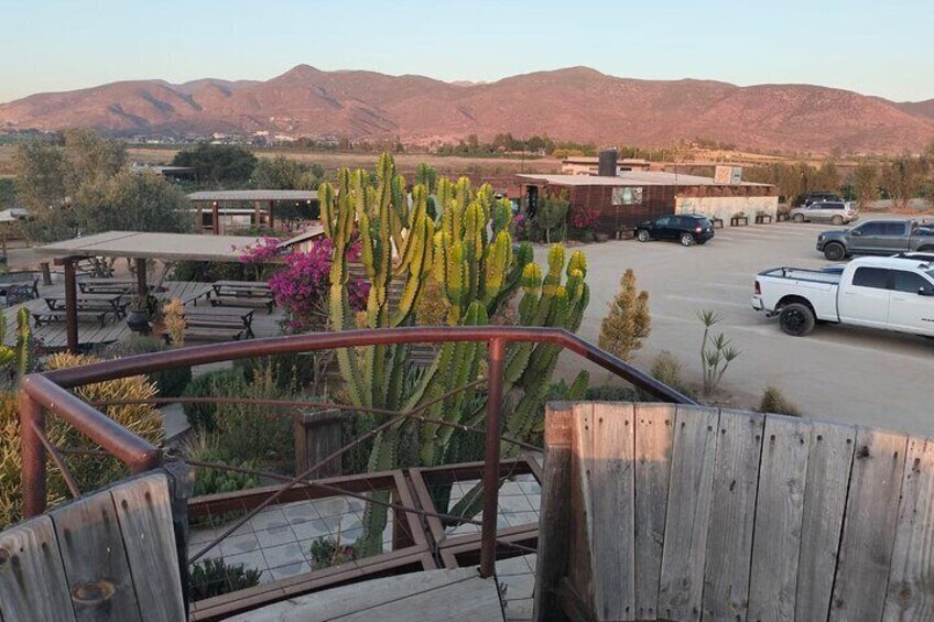 El Cielo Valle de Guadalupe to Almatierra Restaurant Tour Event