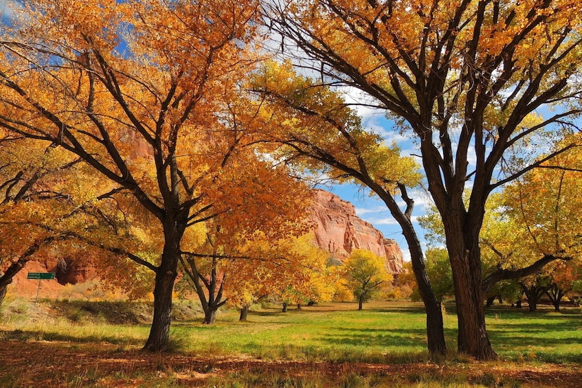 Capitol Reef National Park Self-Driving Audio Tour