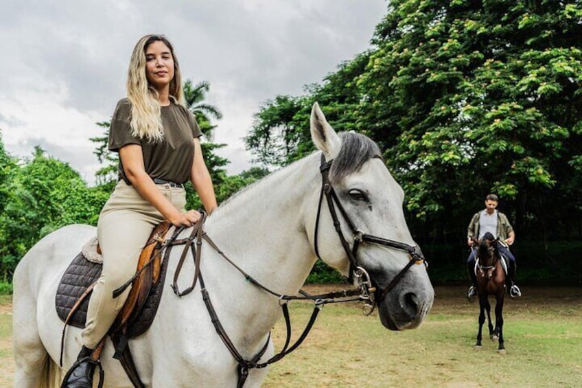 Experience Horse Riding in Palmeraie Grove & Transfer - Marrakesh
