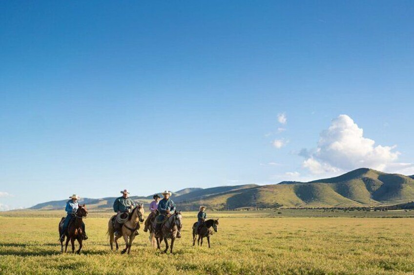 Experience Horse Riding in Palmeraie Grove & Transfer - Marrakesh