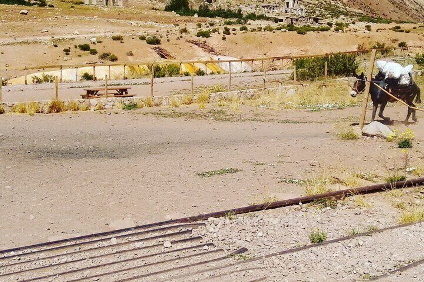 Private Tour with Lunch in Cordillera de Los Andes
