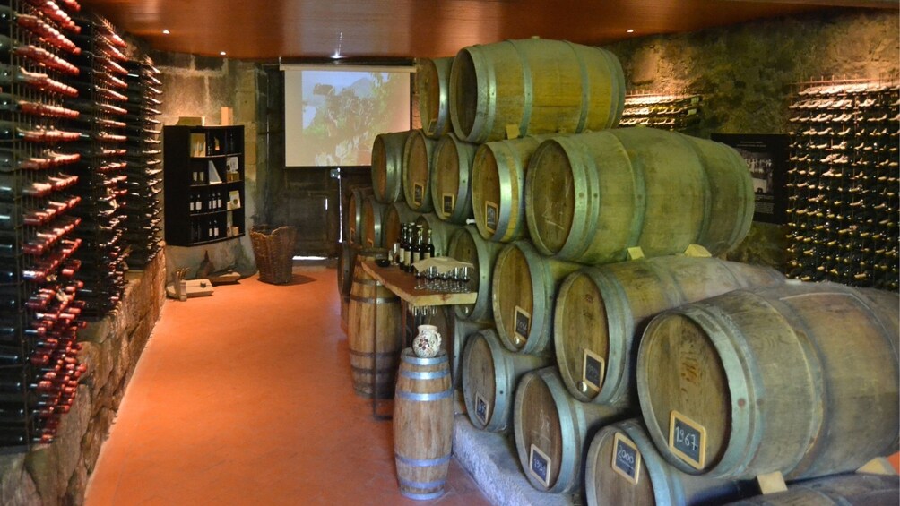 Discover the Douro Valley: Exclusive Small-Group Wine Tour from Porto