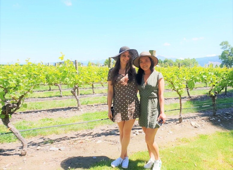 Picture 2 for Activity Marlborough: Full Day "Winemaker's Tour"