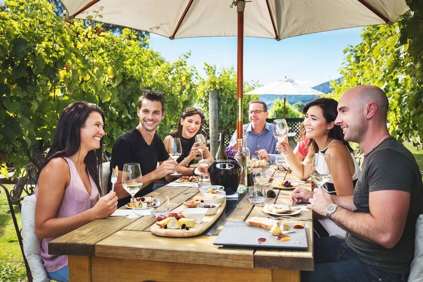 Picture 3 for Activity Marlborough: Full Day "Winemaker's Tour"