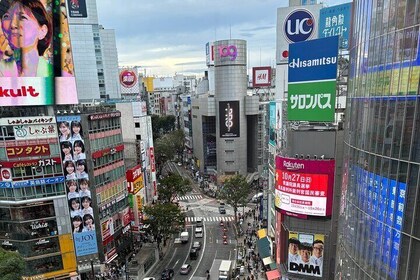 Dynamic Tokyo Private Custom Walking Tour