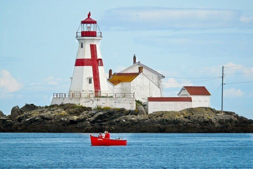 Whale Watching in Saint Andrews with Private Car Tour