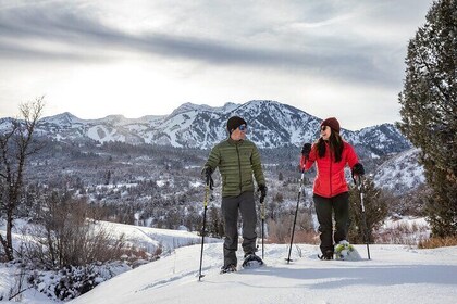 Park City Snowshoe