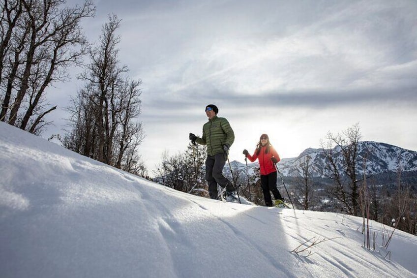 Park City Snowshoe