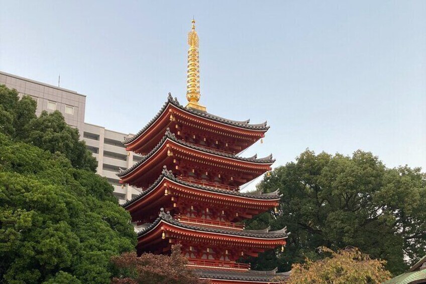 The 5 storied Pagoda at Tochoji Temple is on the itinerary.