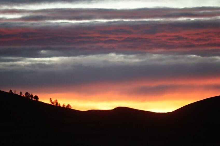 Custer's Wildlife & Night Skies: A Twilight Adventure