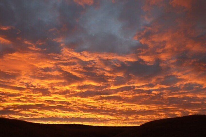 Custer's Wildlife & Night Skies: A Twilight Adventure