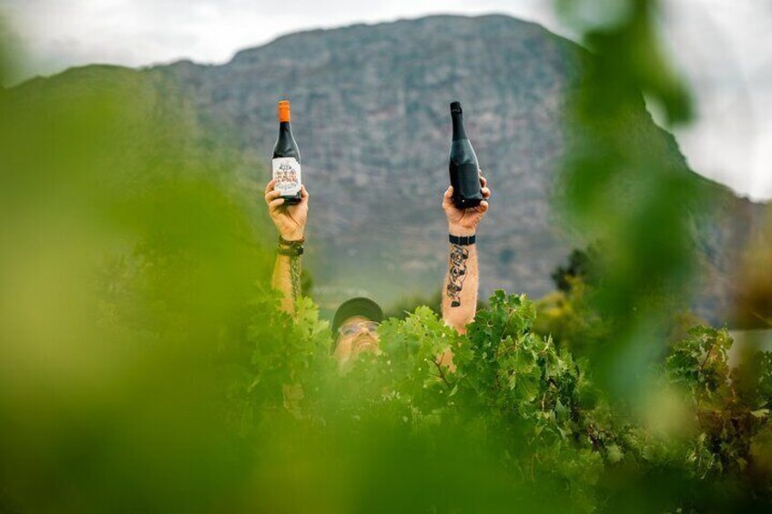 Franschhoek Half Day Small Group Wine Tour