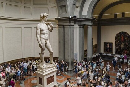 Private Tour of Michelangelo's David Academia Gallery