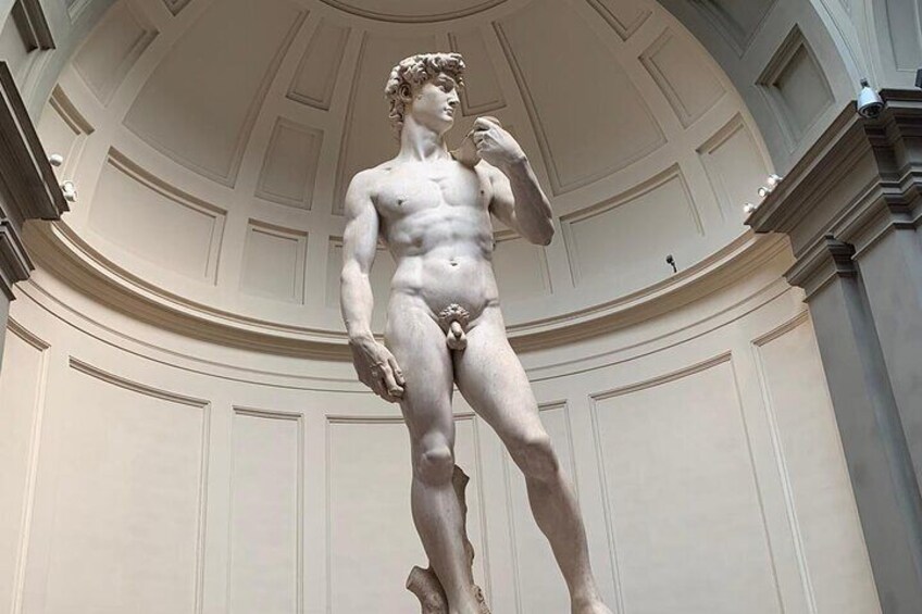 Private Tour of Michelangelo's David Academia Gallery 