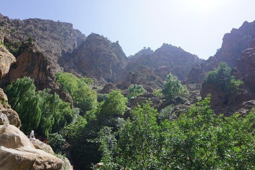 Atlas Mountains Private Day Trip 