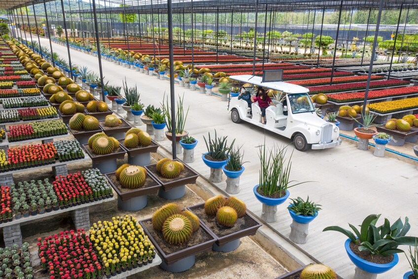 Nong Nooch Tropical Garden Pattaya