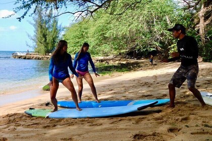 Beginner Surf Lesson at North Shore Haleiwa, Oahu