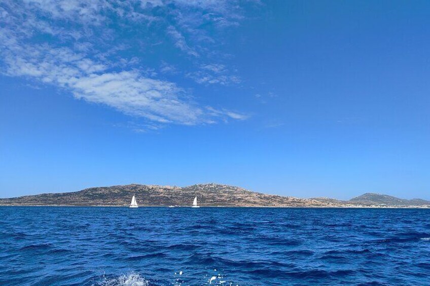 Excursion to discover Asinara and Belle Cale