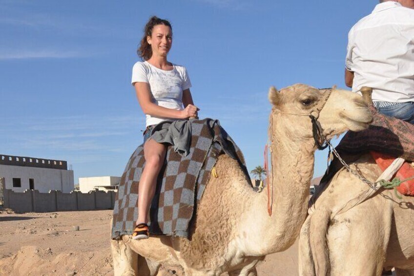 Day Jeep Safari by Sunset Dinner Show & Camel Ride–Marsa Alam