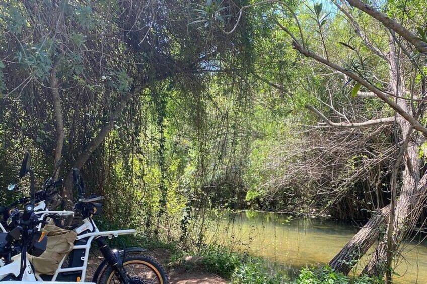 Hills & Thrills: 4 Hr Fonte da Benémola Electric Motorbike Tour 