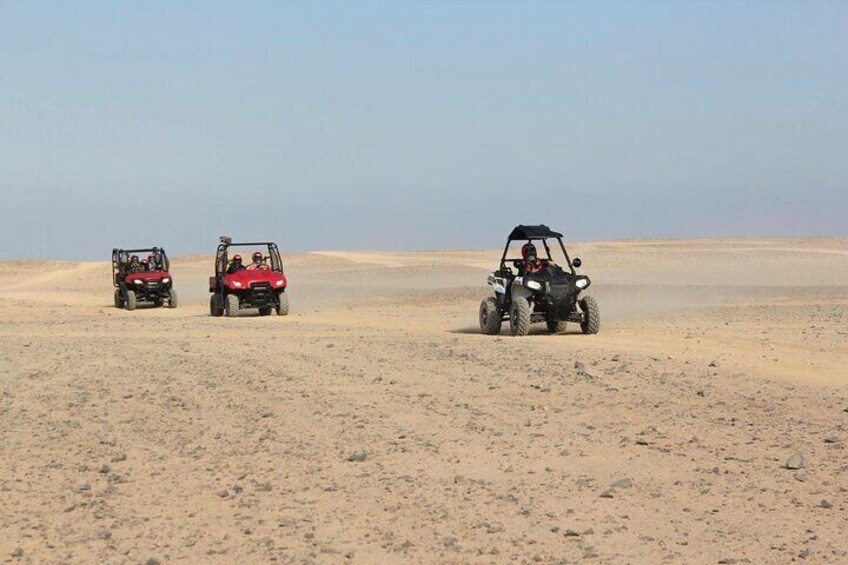 Thrilling Buggy Safari & Camel Ride with Transfers – Marsa Alam