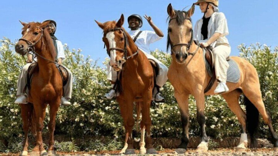 Horse Riding Adventure in Palmeraie Grove & Transfer - Marrakesh