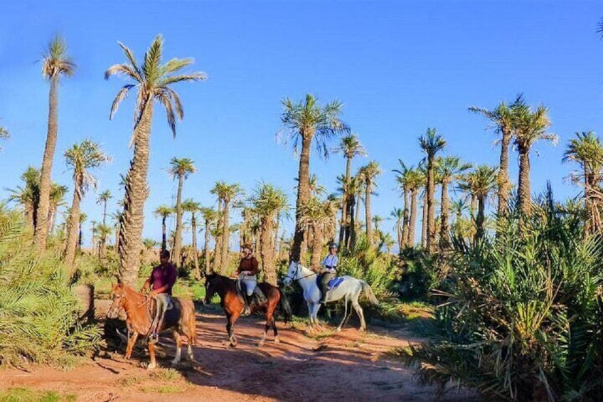 Horse Riding Adventure in Palmeraie Grove & Transfer - Marrakesh