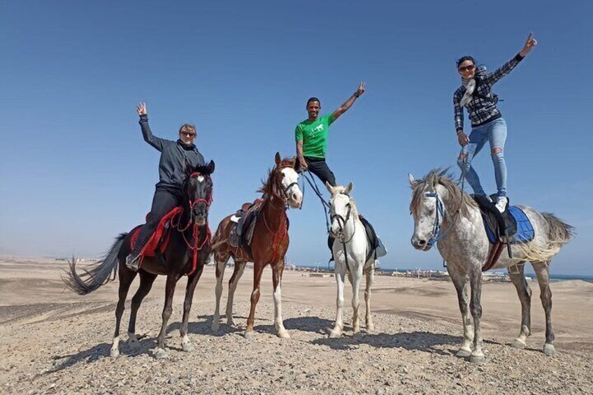  Horse Riding Adventure Journey Across the Sands – Marsa Alam