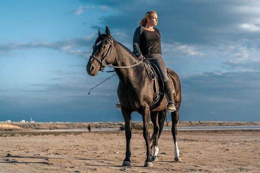  Horse Riding Adventure Journey Across the Sands – Marsa Alam