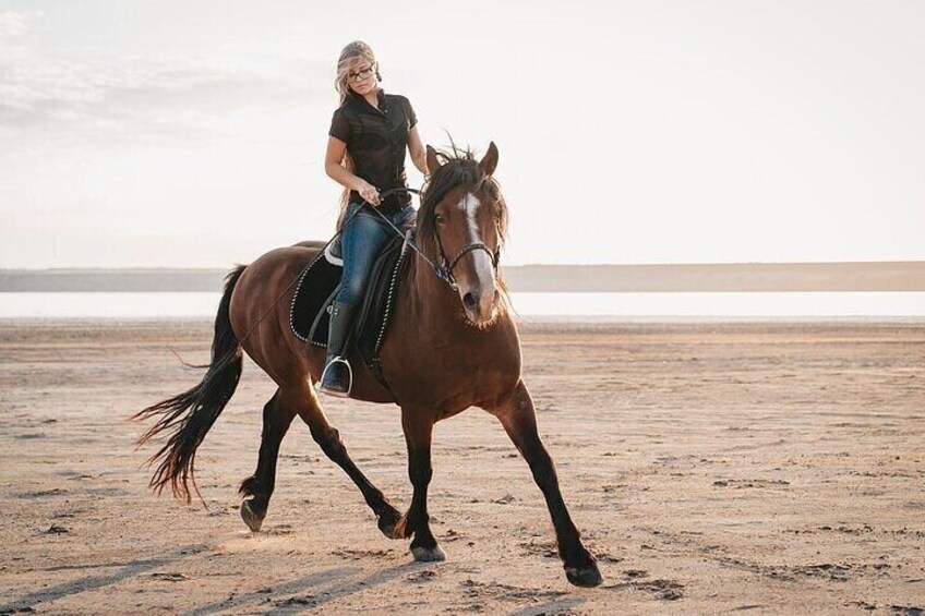  Horse Riding Adventure Journey Across the Sands – Marsa Alam