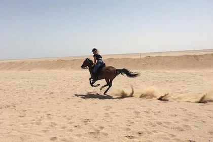 Viaje de aventura a caballo por las arenas – Marsa Alam