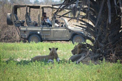 Selous Game Reserve 1-Day Safari with Flights