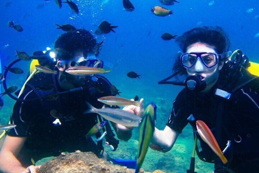 Explore Further PADI Advanced Diving Course - Marsa Alam