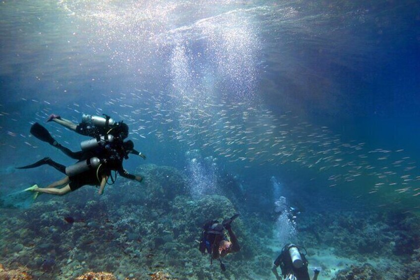 Explore Further PADI Advanced Diving Course - Marsa Alam